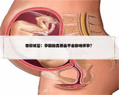 泰国试管：孕酮的高低会不会影响怀孕？